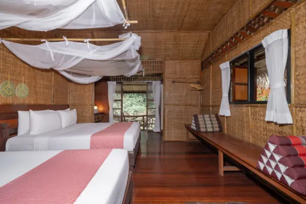 Jungle Vibe