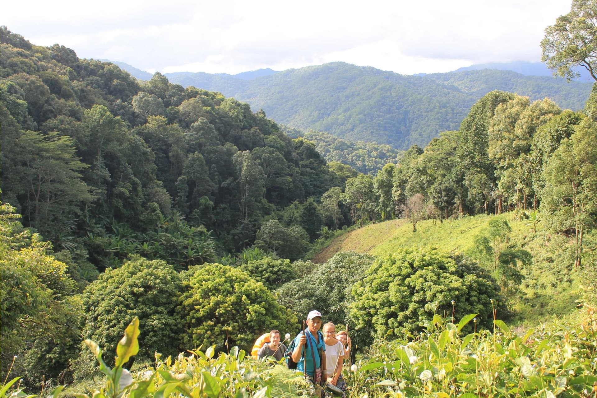 3 sitios para hacer senderismo desde Chiang Mai