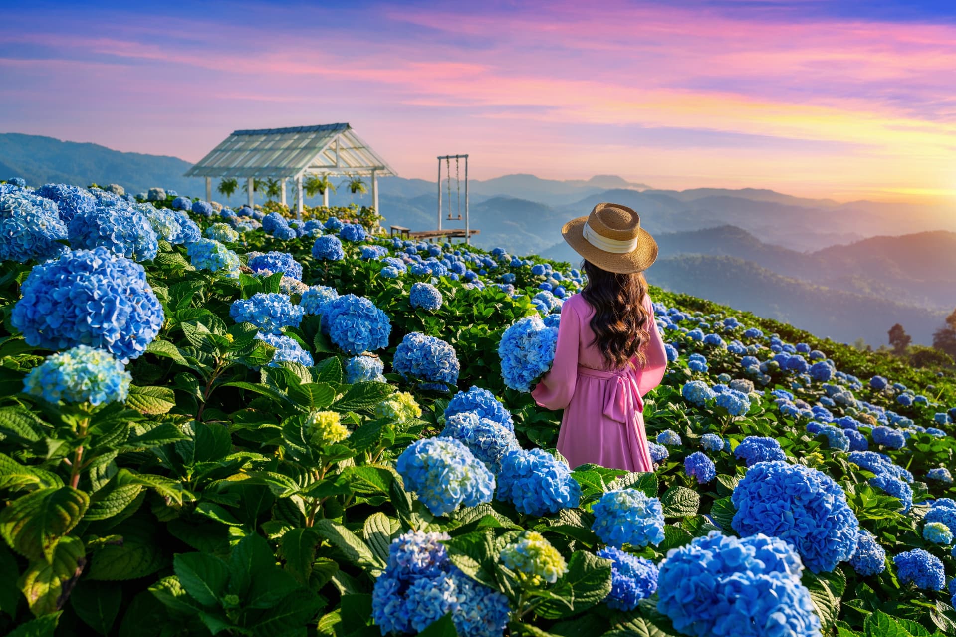 Chiang Mai o Chiang Rai: ¿qué ciudad elegir?