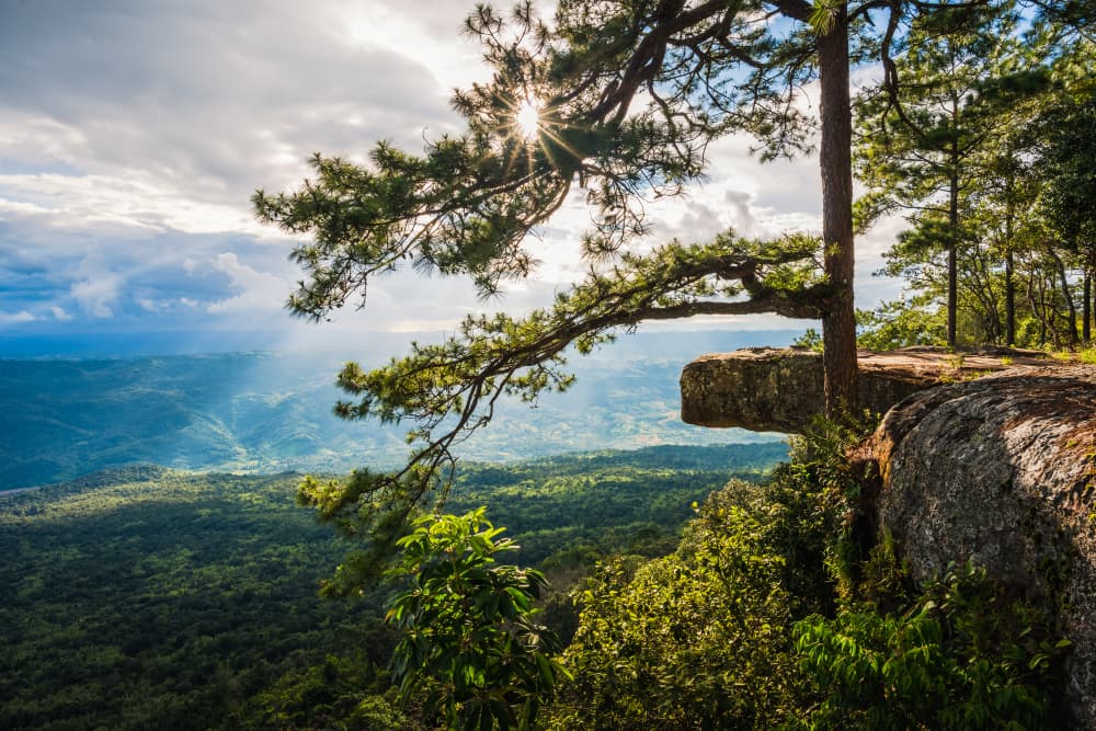 Parque nacional de Phu Kradueng